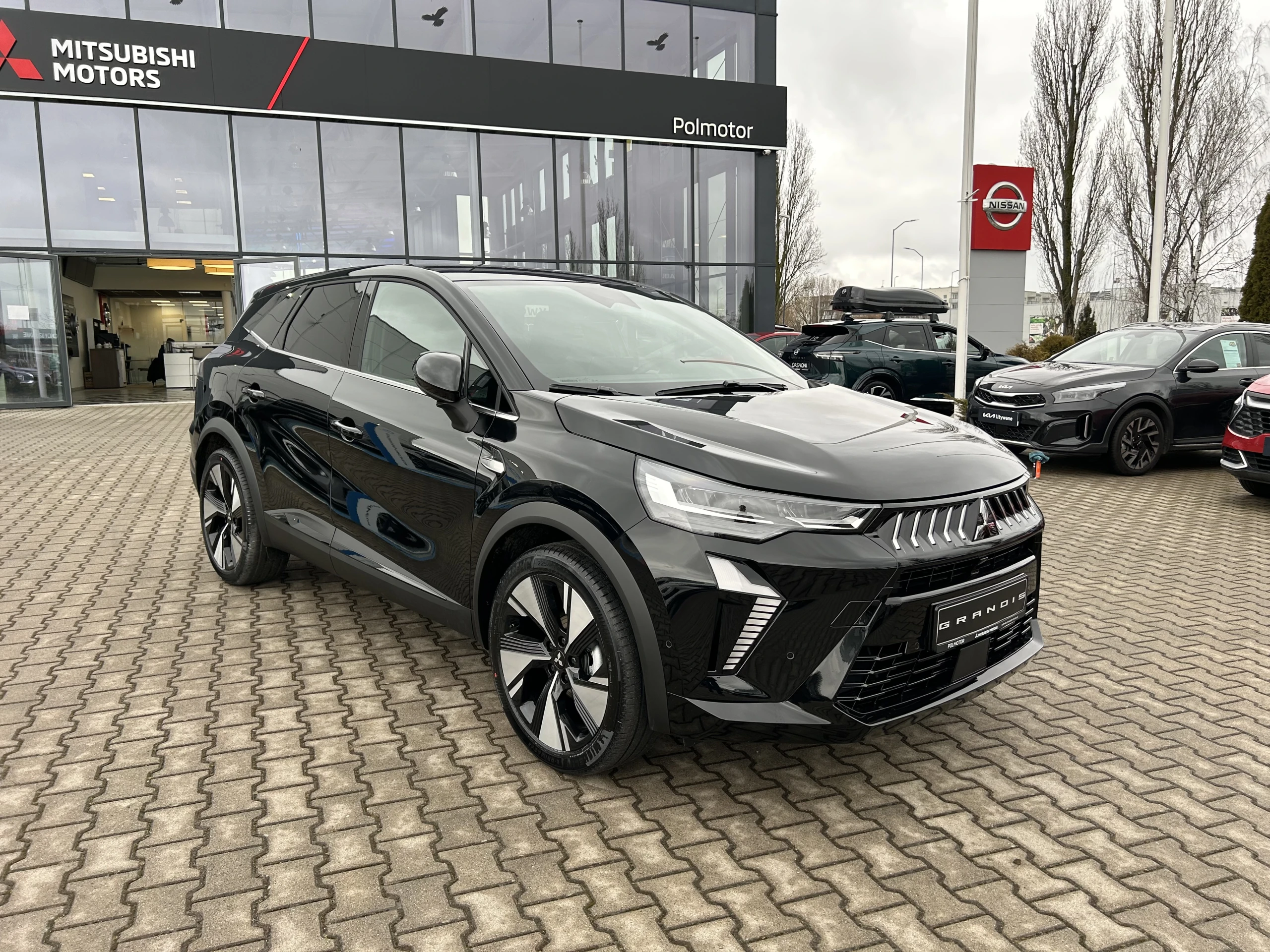 Grandis - Zdjęcie 2